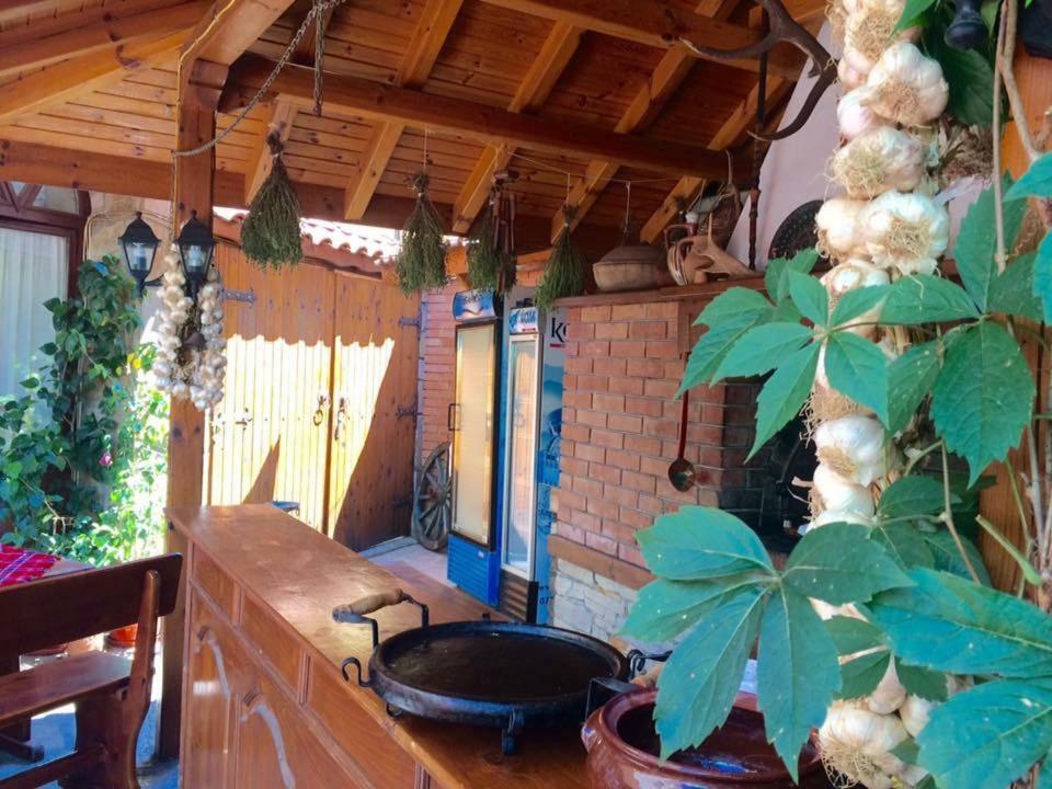 Guest House Gergana Primorsko Bagian luar foto